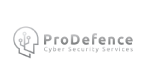 partner 2